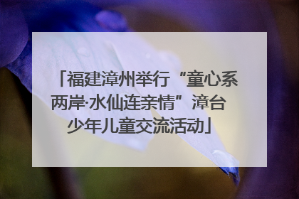 福建漳州举行“童心系两岸·水仙连亲情”漳台少年儿童交流活动