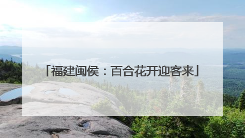 福建闽侯：百合花开迎客来