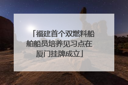 福建首个双燃料船舶船员培养见习点在厦门挂牌成立