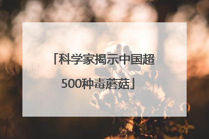 科学家揭示中国超500种毒蘑菇