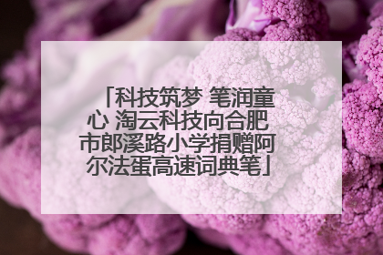 科技筑梦 笔润童心 淘云科技向合肥市郎溪路小学捐赠阿尔法蛋高速词典笔