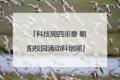 科技周四重奏 朝阳校园涌动科创潮