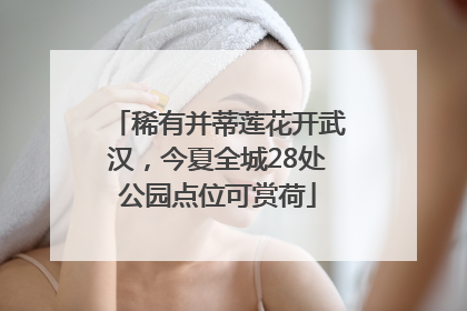 稀有并蒂莲花开武汉，今夏全城28处公园点位可赏荷