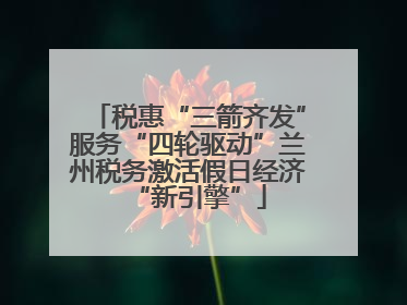 税惠“三箭齐发”服务“四轮驱动”兰州税务激活假日经济“新引擎”