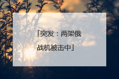 突发：两架俄战机被击中