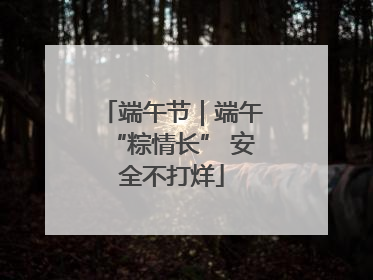 端午节｜端午“粽情长” 安全不打烊