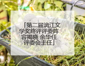 第二届漓江文学奖终评评委阵容揭晓 余华任评委会主任