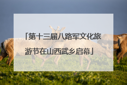 第十三届八路军文化旅游节在山西武乡启幕