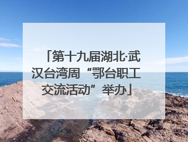 第十九届湖北·武汉台湾周“鄂台职工交流活动”举办