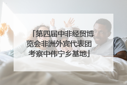 第四届中非经贸博览会非洲外宾代表团考察中伟宁乡基地