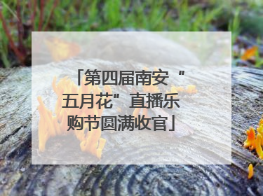 第四届南安“五月花”直播乐购节圆满收官