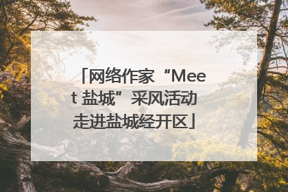 网络作家“Meet 盐城”采风活动走进盐城经开区