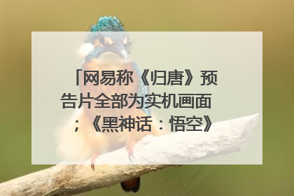 网易称《归唐》预告片全部为实机画面；《黑神话：悟空》公布Xbox版预购视频｜游戏早参