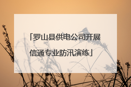 罗山县供电公司开展信通专业防汛演练
