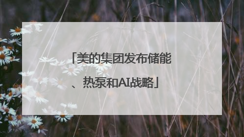 美的集团发布储能、热泵和AI战略