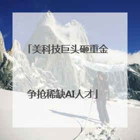 美科技巨头砸重金争抢稀缺AI人才