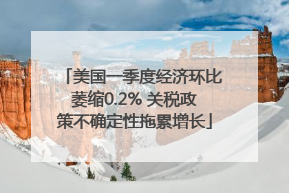 美国一季度经济环比萎缩0.2% 关税政策不确定性拖累增长