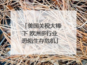 美国关税大棒下 欧洲多行业恐陷生存危机