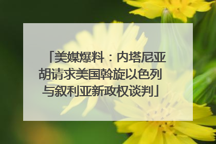 美媒爆料：内塔尼亚胡请求美国斡旋以色列与叙利亚新政权谈判