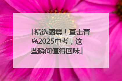 精选图集！直击青岛2025中考，这些瞬间值得回味