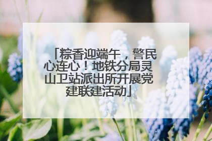 粽香迎端午，警民心连心！地铁分局灵山卫站派出所开展党建联建活动