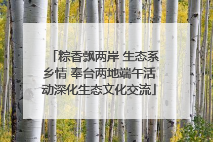 粽香飘两岸 生态系乡情 奉台两地端午活动深化生态文化交流