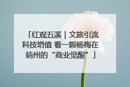 红观五溪｜文旅引流 科技增值 看一颗杨梅在靖州的“商业觉醒”
