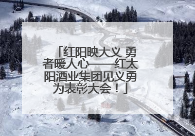 红阳映大义 勇者暖人心——红太阳酒业集团见义勇为表彰大会！