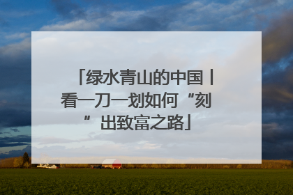 绿水青山的中国丨看一刀一划如何“刻”出致富之路