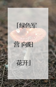绿色军营 向阳花开
