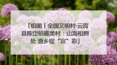 组图丨全国文明村·云霄县陈岱镇礁美村：山海相拥处 渔乡绽“富”彩