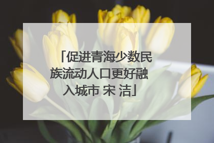 促进青海少数民族流动人口更好融入城市 宋 洁