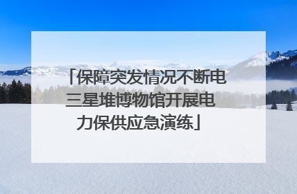 保障突发情况不断电 三星堆博物馆开展电力保供应急演练