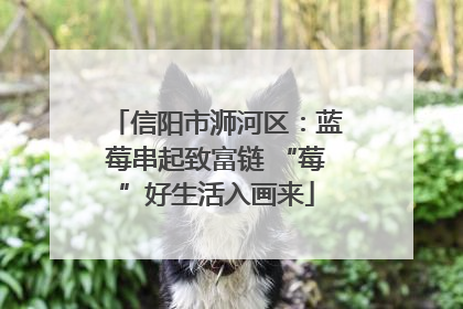 信阳市浉河区：蓝莓串起致富链 “莓”好生活入画来
