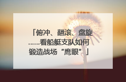 俯冲、翻滚、盘旋……看船艇支队如何锻造战场“鹰眼”