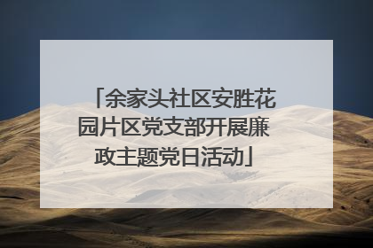 余家头社区安胜花园片区党支部开展廉政主题党日活动