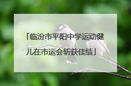 临汾市平阳中学运动健儿在市运会斩获佳绩