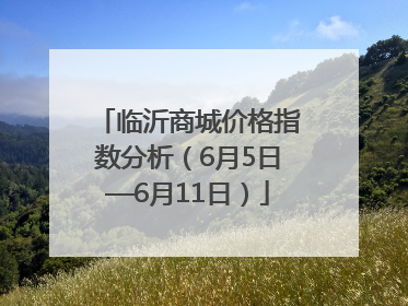 临沂商城价格指数分析（6月5日—6月11日）