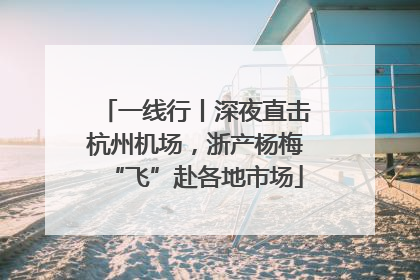 一线行丨深夜直击杭州机场，浙产杨梅“飞”赴各地市场