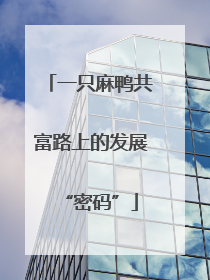 一只麻鸭共富路上的发展“密码”