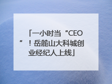 一小时当“CEO”！岳麓山大科城创业经纪人上线
