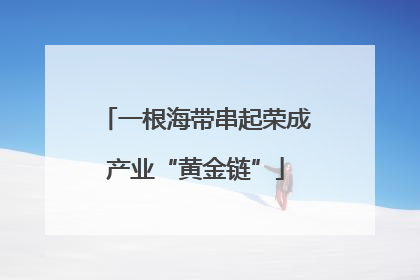 一根海带串起荣成产业“黄金链”