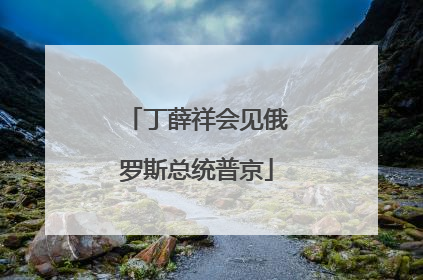 丁薛祥会见俄罗斯总统普京