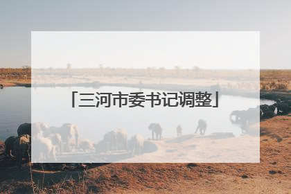 三河市委书记调整