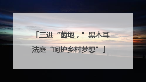 三进“菌地，”黑木耳法庭“呵护乡村梦想”