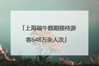 上海端午假期接待游客648万余人次