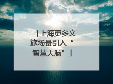上海更多文旅场景引入“智慧大脑”