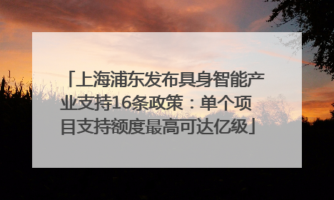 上海浦东发布具身智能产业支持16条政策：单个项目支持额度最高可达亿级