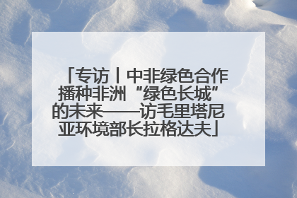 专访丨中非绿色合作播种非洲“绿色长城”的未来——访毛里塔尼亚环境部长拉格达夫