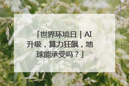 世界环境日｜AI升级，算力狂飙，地球能承受吗？